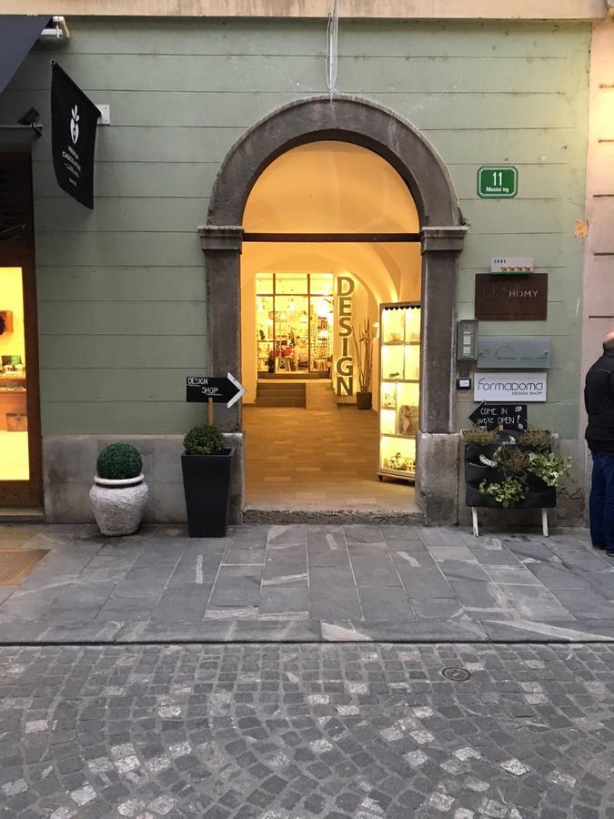 Urban Homy Ljubljana住宿加早餐旅馆 外观 照片