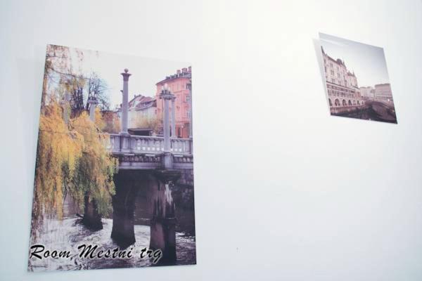 Urban Homy Ljubljana住宿加早餐旅馆 外观 照片